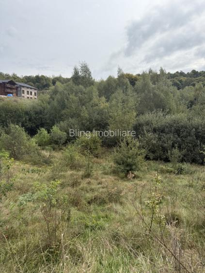 Teren 971 MP, intrare Salicea cu autorizatie , Casa Individuala - 4