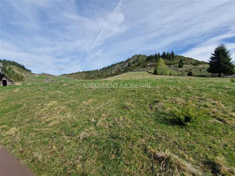 7.000 mp, pozitie spectaculoasa, fara vecini, Fundatica, Brasov - 25