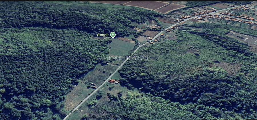 TEREN INTRAVILAN DE 1.822 MP MARGINA - 3