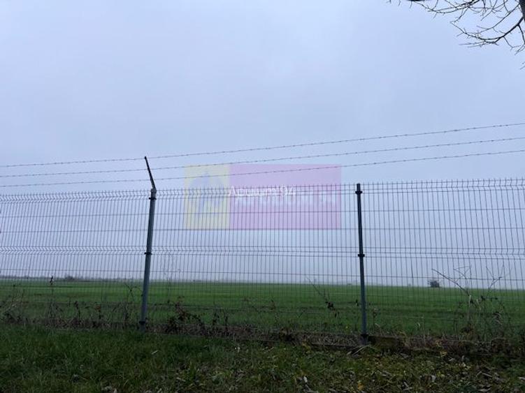 Teren Domnesti- Depozit Altex, Emag. - 5