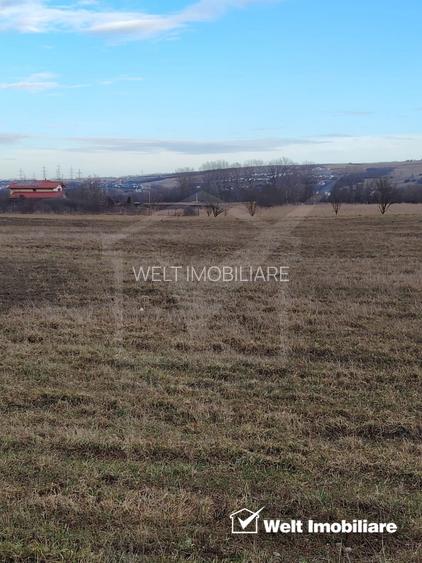 Teren de vanzare in Jucu de Mijloc - 2