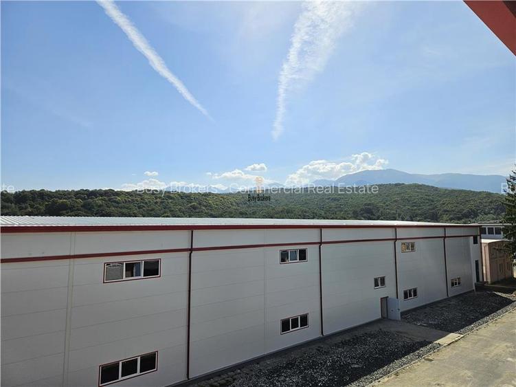 Spatiu Industrial -  6500 mp - Productie - Depozitare - 2