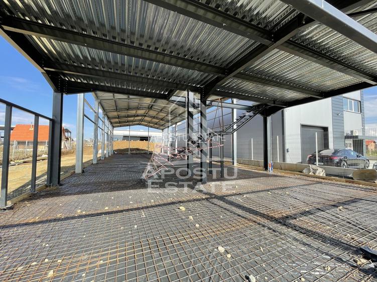 Hala + birouri, 590 mp, Giarmata - 2