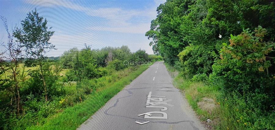 Padure de vanzare zona Comuna Draganesti sat Hatcarau - 3