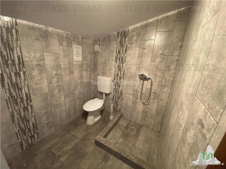 Spatiu comercial, birouri, depozitare de inchiriat in Doamna Ghica - 14