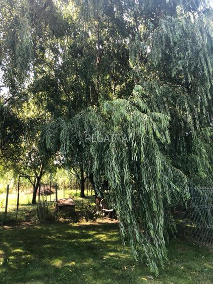 VILA IMPRESIONANTA CU ACCES LA LAC si PISCINA - 3