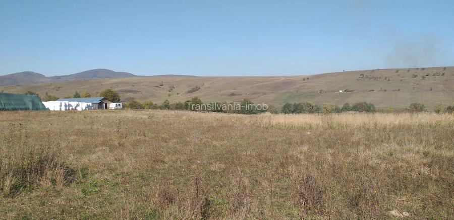 Teren Apata 0.8 euro/mp pretabil investitie - 4