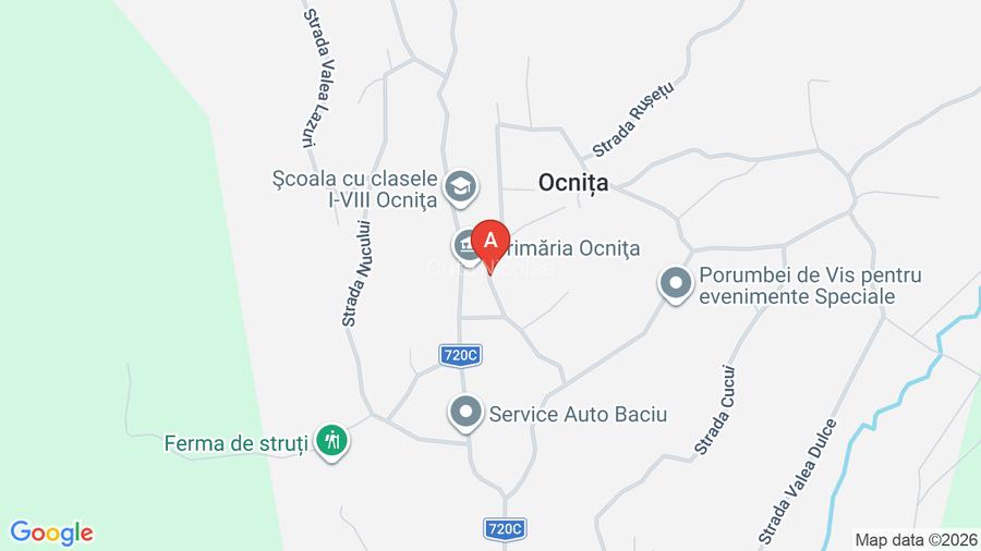 Vanzare casa si terenul aferent - 12