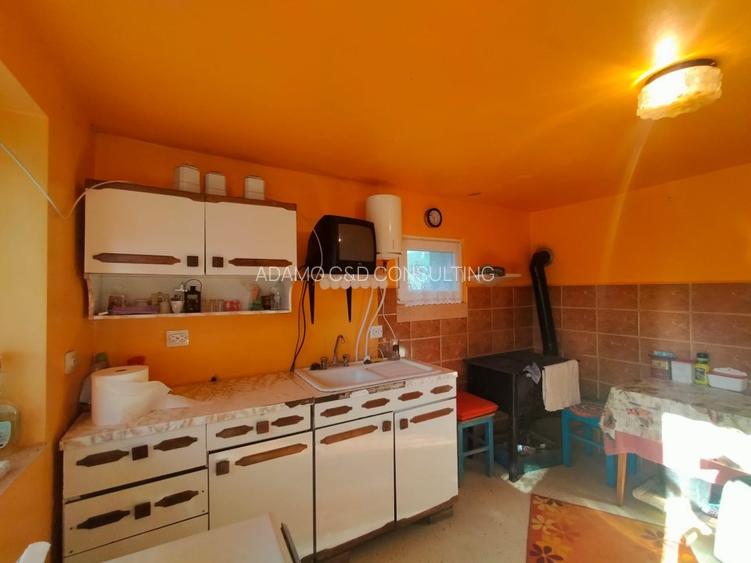 Casa de vanzare/schimb in Panticeu cu gradina mare - 12