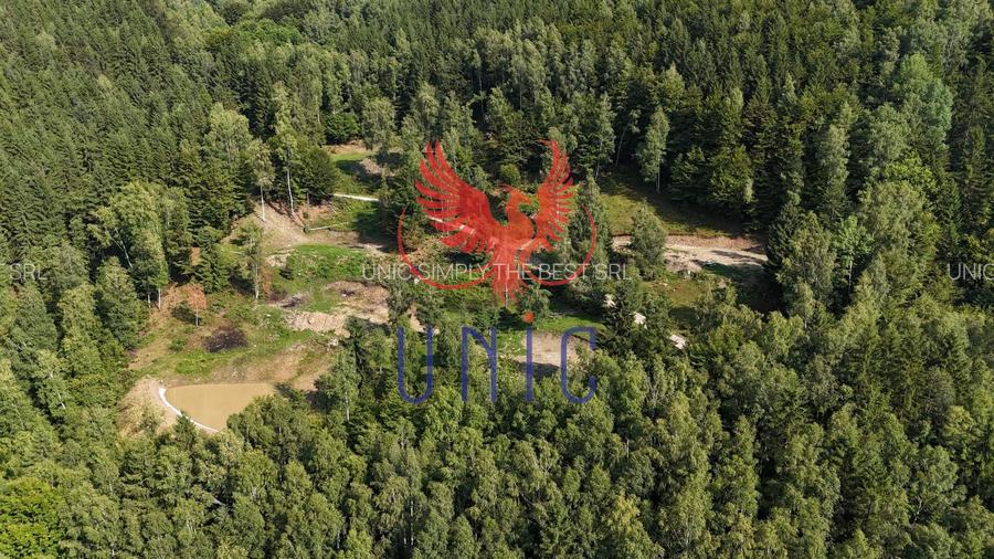 18000 mp de natura pura ,Lupeni, langa Straja - 8