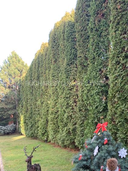 RESEDINTA SPECTACULOASA CU DESCHIDERE LAC SNAGOV,BARCA SI PONTON AMENAJAT - 20