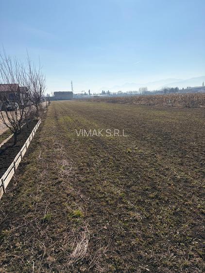 S.C Vimak Imobiliare vinde teren intravilan Stupini - 6