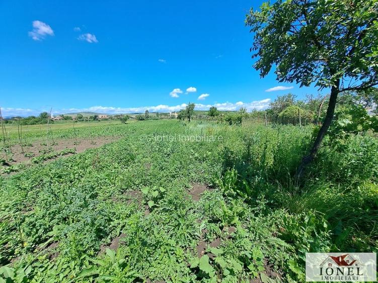 Casa de vanzare in Razboieni - Cetate - 10