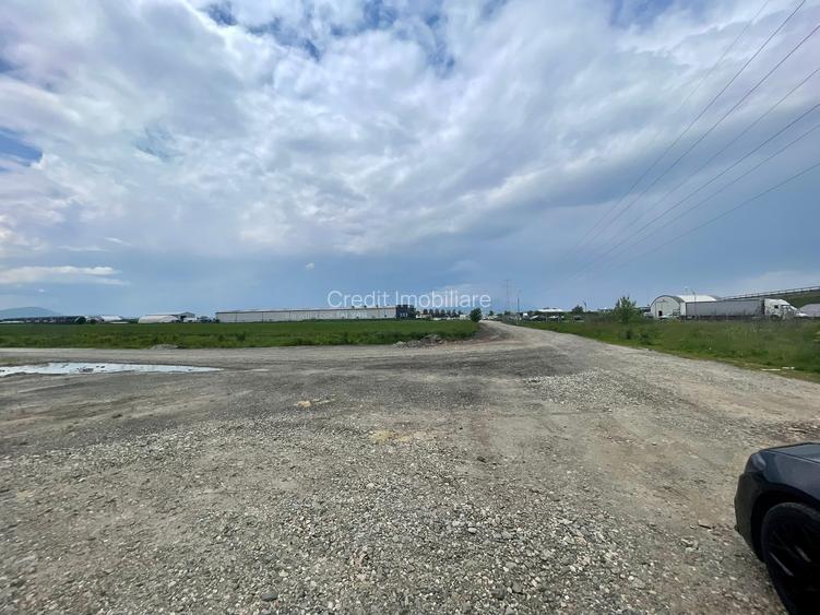 Teren  de vanzare - 4