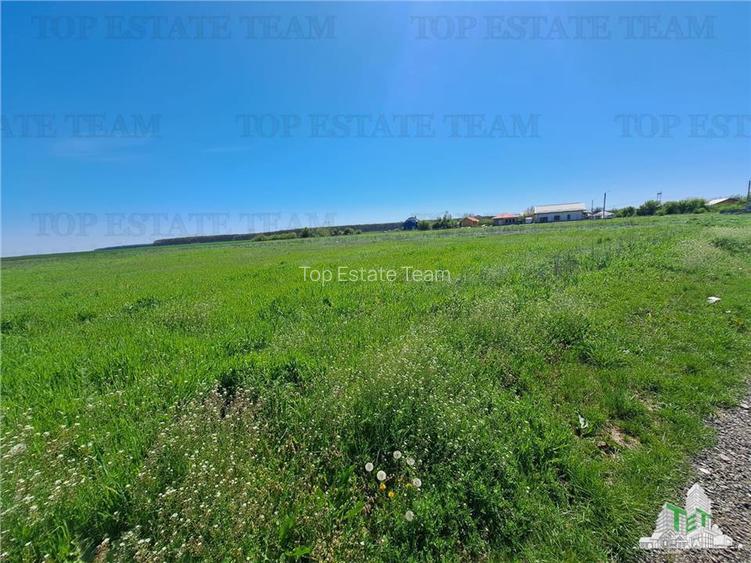 Loturi teren de vanzare Branesti/Vadu Anei - 7