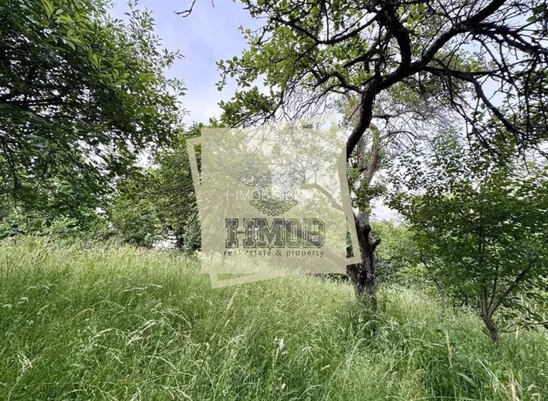 Teren intravilan 1080 mp zona Tropinii Noi - 2