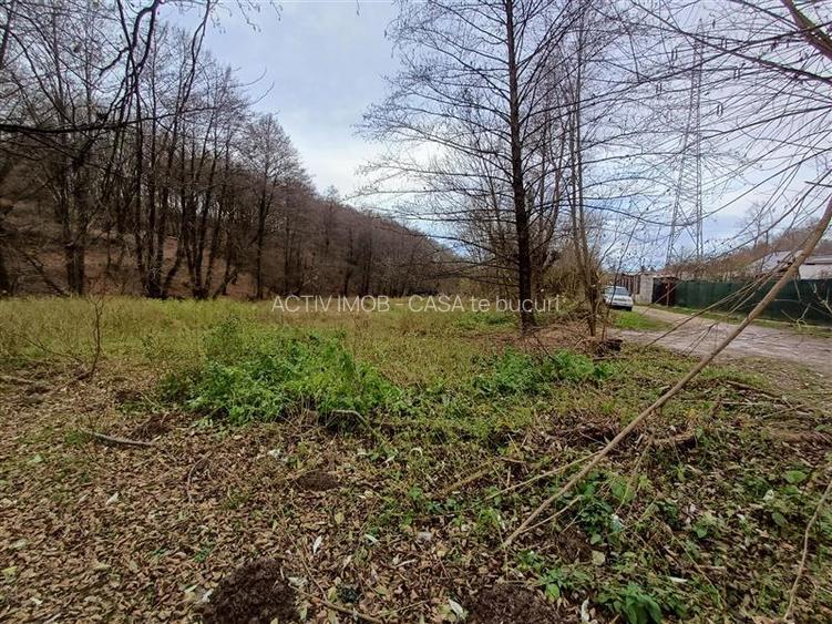 Resita, Teren Drept Intravilan, Langa Prau si Drum, 1308 Mp., 15 Euro Mp., Renk - 13