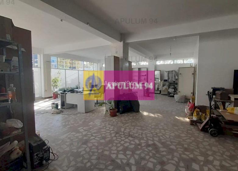 Centru de afaceri cu vad comercial - 7