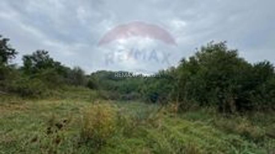 Teren 3542mp Campia Turzii COMISION 0% - 4