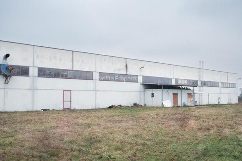 HALA ALBASTELELOR DE VANZARE/INCHIRIAT - 3