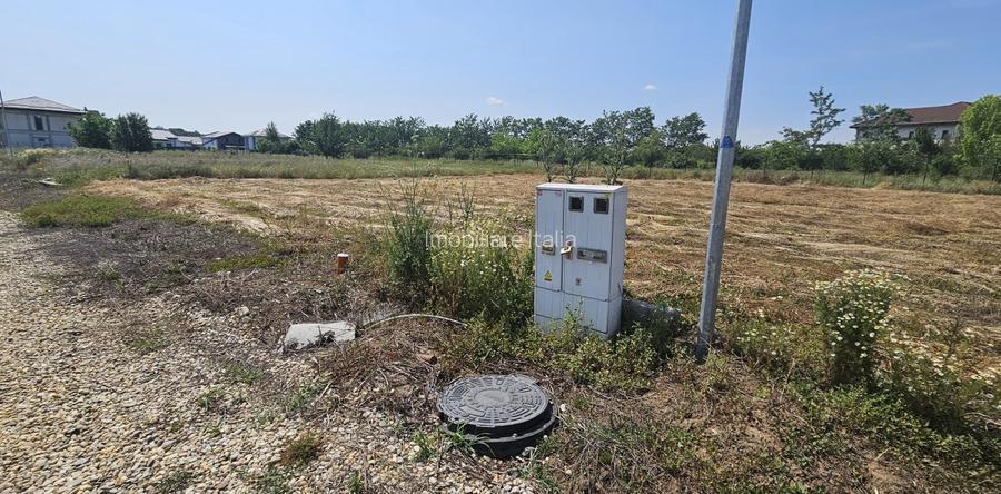 3 loturi cu suprafete de 600 mp si  deschidere de 20 in Eden Forest - 5