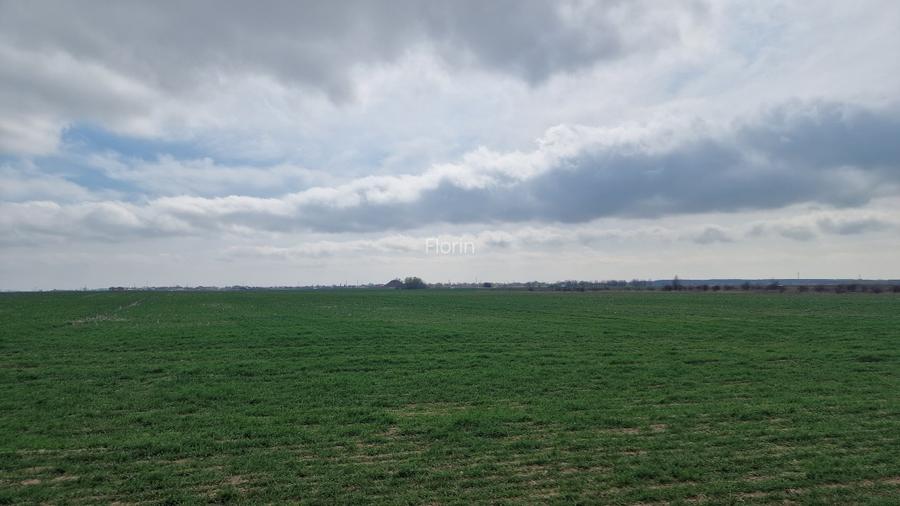 Loturi teren  construibil - 7