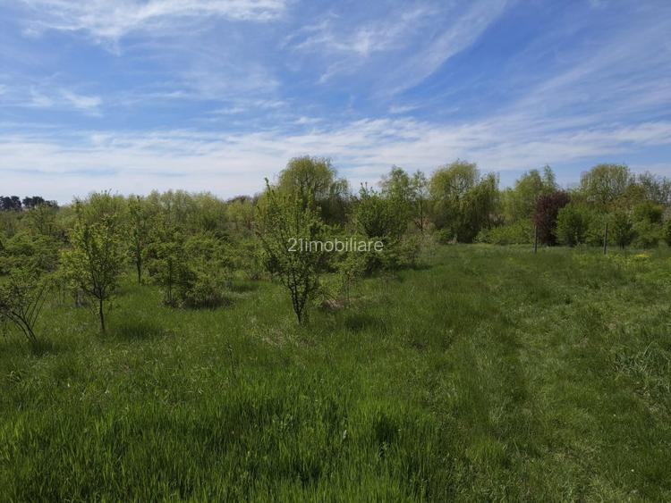 Teren intravilan 664 mp – Peris, Ilfov | Locatie linistita, ideal pentru casa - 5