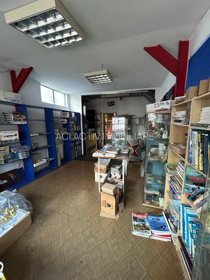 Floreasca, Barbu Vacarescu Kaufland, Ramuri Tei, 179 mp teren P+M - 9