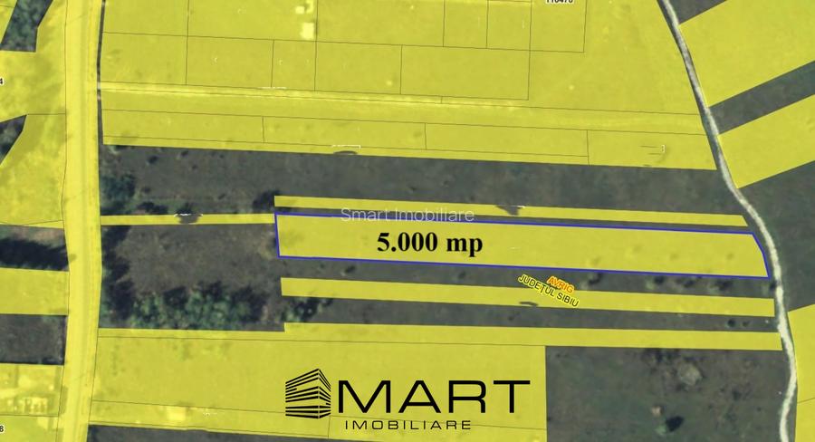 Teren intravilan 5000mp Valea Avrigului zona Panoramic Park - 3