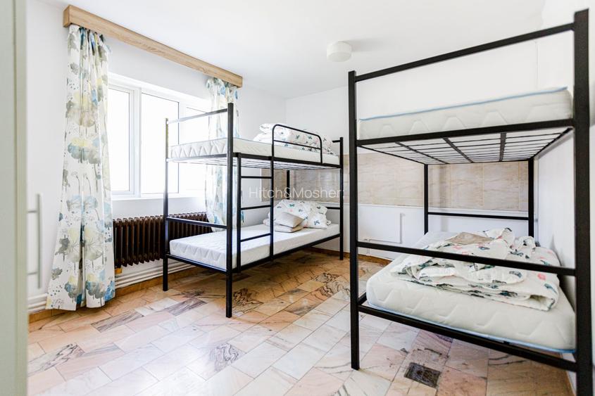 De vanzare proprietate pretabila cazare/locuire/pensiune rurala,  Carani, Timis - 19