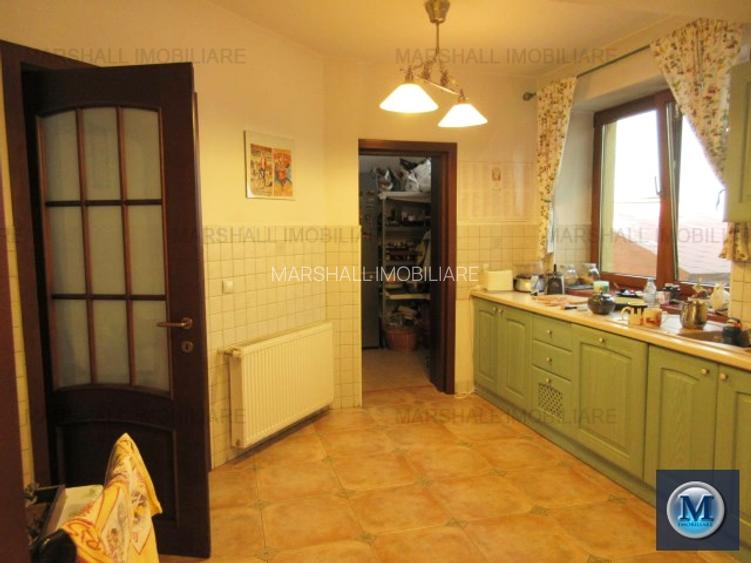 Vila cu 6 camere de vanzare, zona Albert, 355.63 mp #14354 - 7