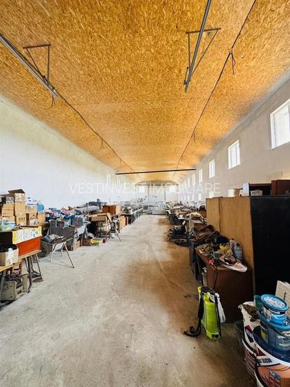 Hala 373 mp + teren in Santaul Mic - 4