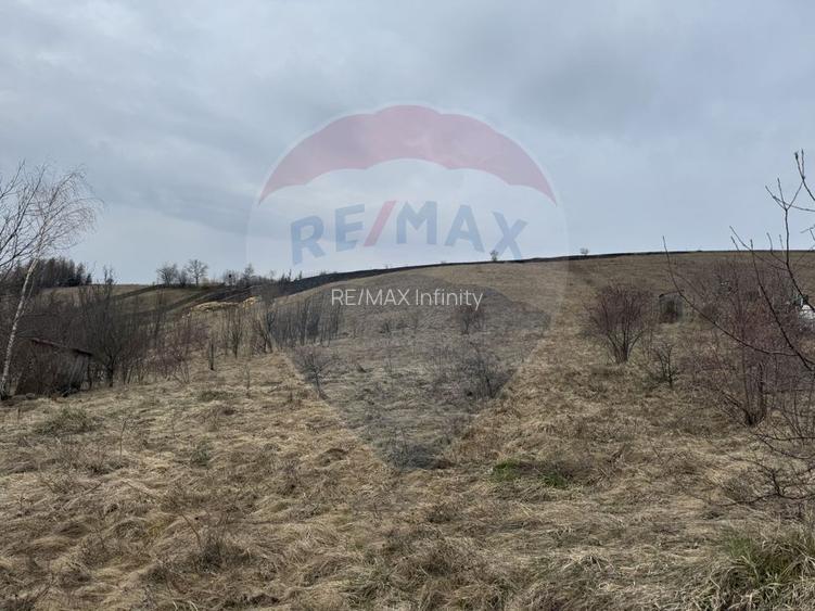 Teren intravilan 2307 mp în Salicea, zona premium, aproape de Cluj - 18