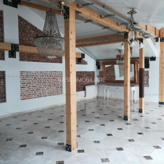 Inchiriere Vila zona Ion Mihalache - 14