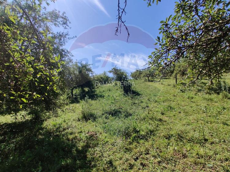 Teren intravilan in Remetea Chioarului - 6