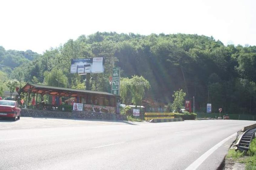 Vand pensiune si hotel la DN7/E81 Pitesti- Rm Valcea, teren 4 ha, 25euro/mp - 5