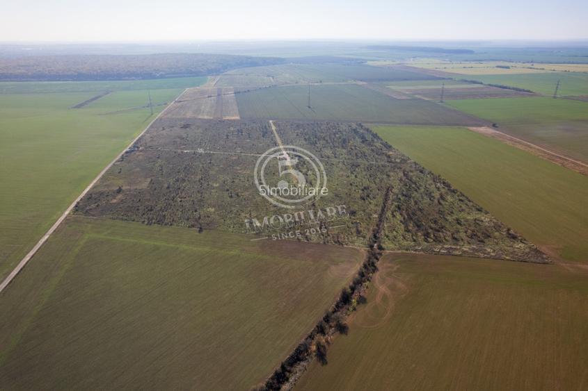 Ocazie- Teren Intravilan de Vanzare- Peris Snagov- Doar 10 euro/mp - 7