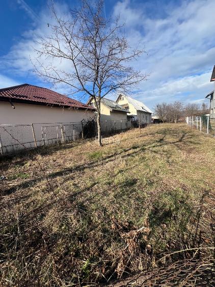 campina teren intravilan de vanzare - 2