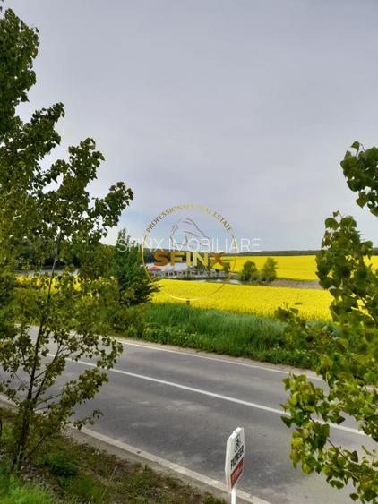 Teren Caldarusani lac/padure 38500 mp, 350 ml deschidere DJ, ape termale - 3