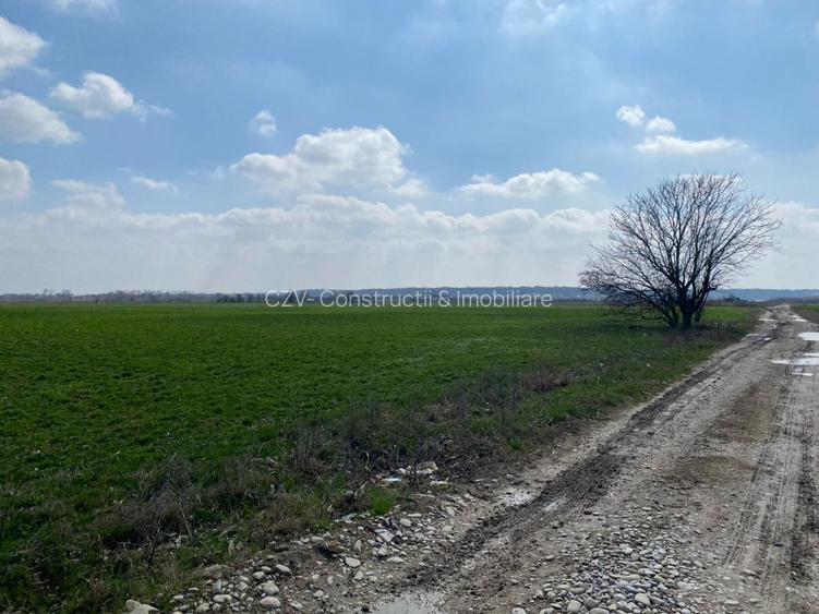 Teren Intravilan Snagov - 2