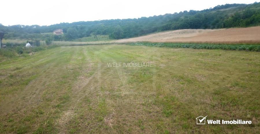 Teren Corpadea, intravilan, pretabil proiect imobiliar, 8700 mp - 2