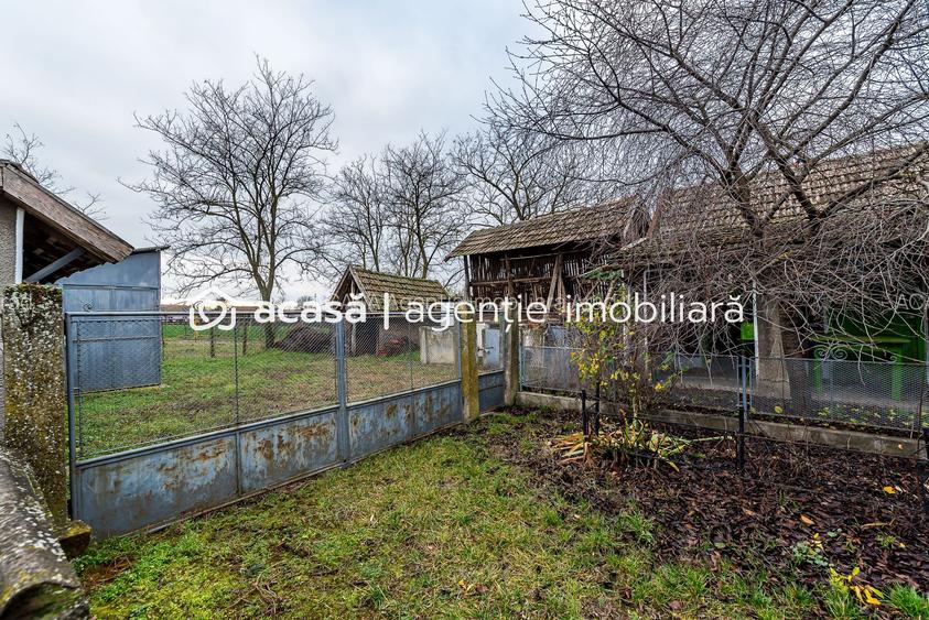Casă + livadă tânără + curte 2.500 mp în Dorobanți - 13