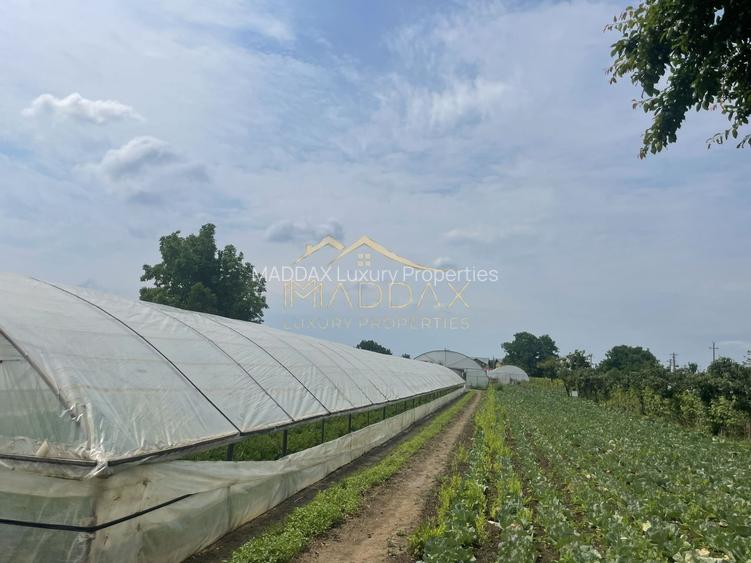 Teren intravilan***1439 mp***Cretesti-Vidra-Ilfov - 5