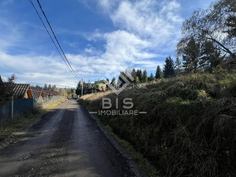 Teren de vanzare 12 ari - COLIBITA - 3