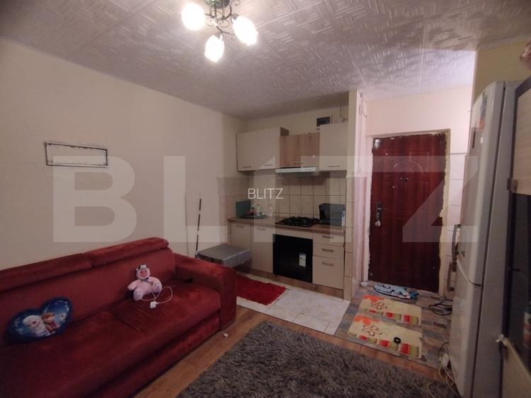 Camera camin, 17 mp, zona Bularga - 3