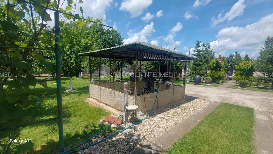 Snagov- Gruiu- Santul Floresti -Proprietate cu stil pentru oameni gospodari! - 36