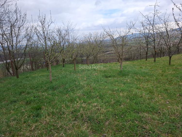 Teren Intravilan 1768 mp – Ocna Mureș - 6