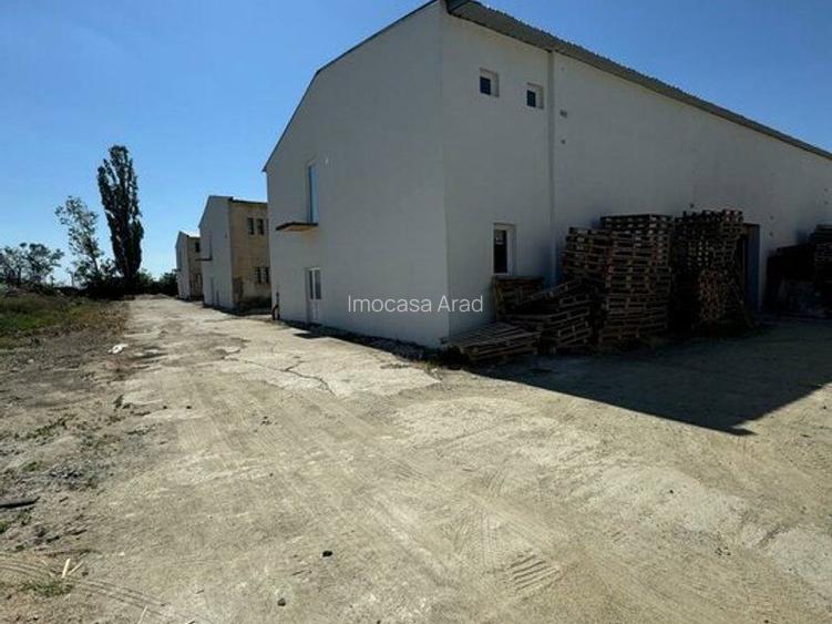 De închiriat hală depozitare 320/640 mp Aluniș Arad - 6