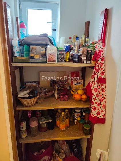 Apartament 3 cam 56mp+curte si gradina 503mp + parcare acoperita dubla - 3