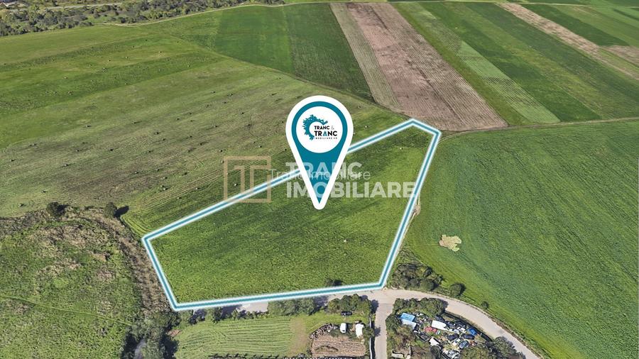 Teren de 11500 mp pentru Complex Rezidențial în Sânnicolau Mic - 4